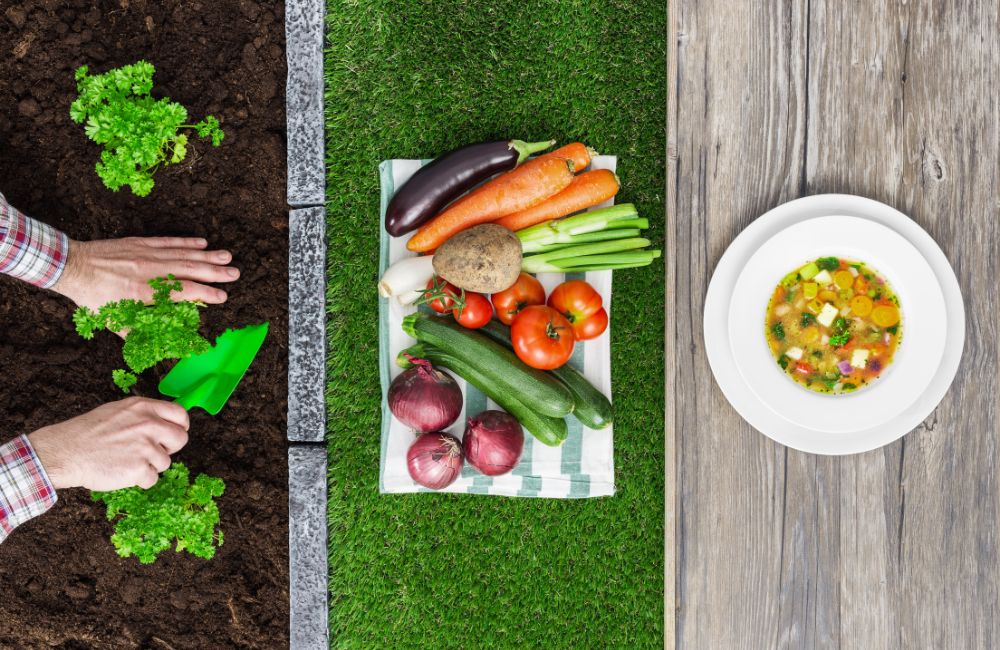 Farm-To-Table